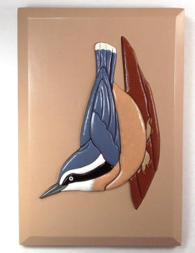 Intarsia Nuthatch