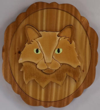Intarsia Maine Coon
