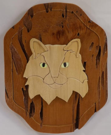 Intarsia Maine Coon with Pecky Cypress Background